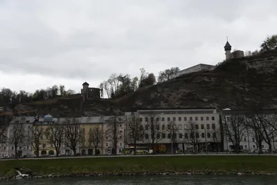 DSC_6995 (Large).JPG